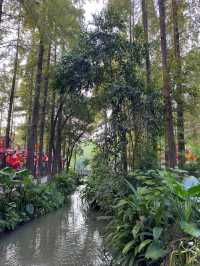 A Leisurely Day at Chengdu Renmin Park