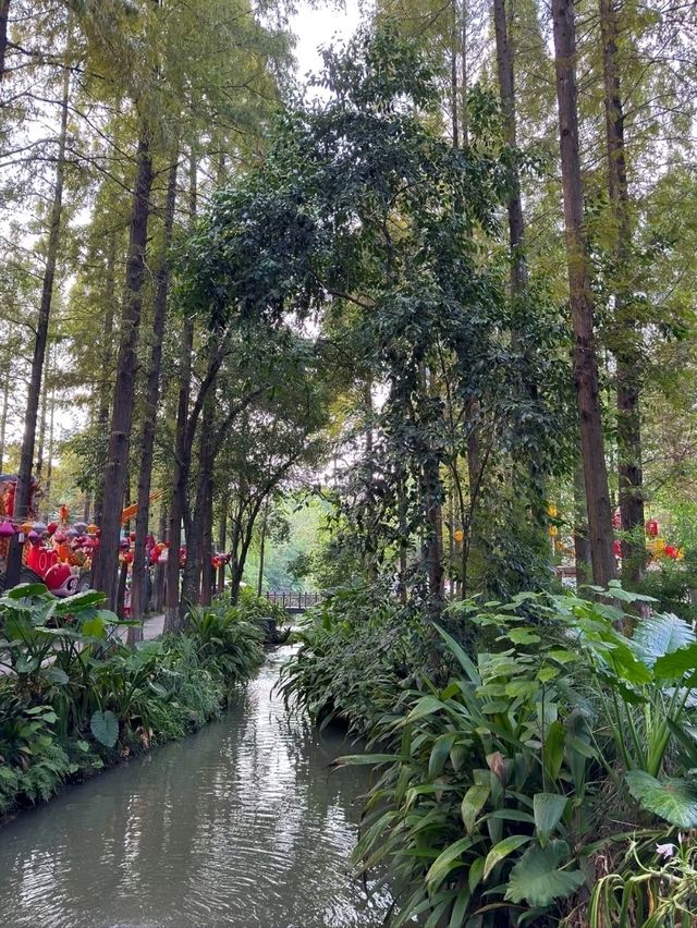 A Leisurely Day at Chengdu Renmin Park