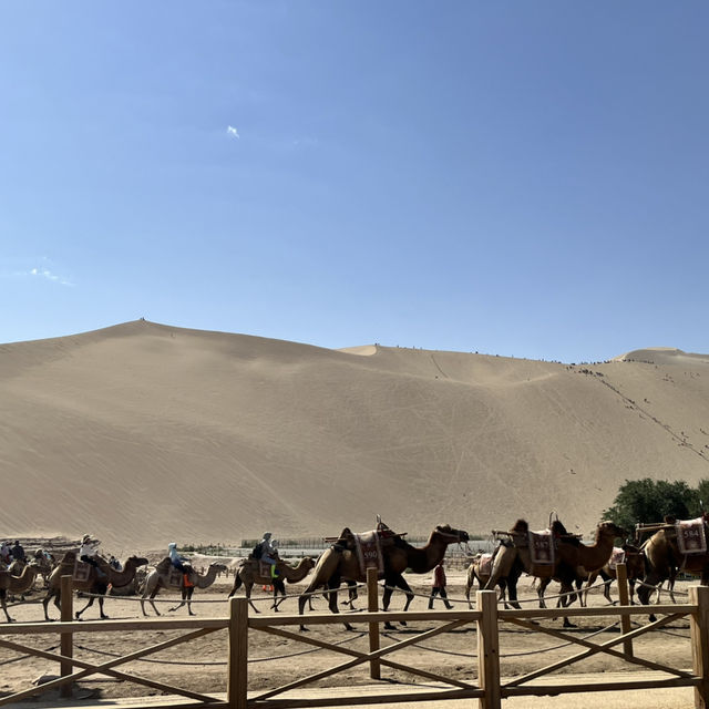  A Perfect Day in Dunhuang — Desert, Art, and Night Vibes