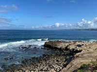 聖地牙哥 La Jolla 拉荷亞海灣 與海獅海豹一起賞日出