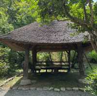 Tokyo｜Keio Mogusaen – Edo Garden Charm Through the Seasons 🌸🍁