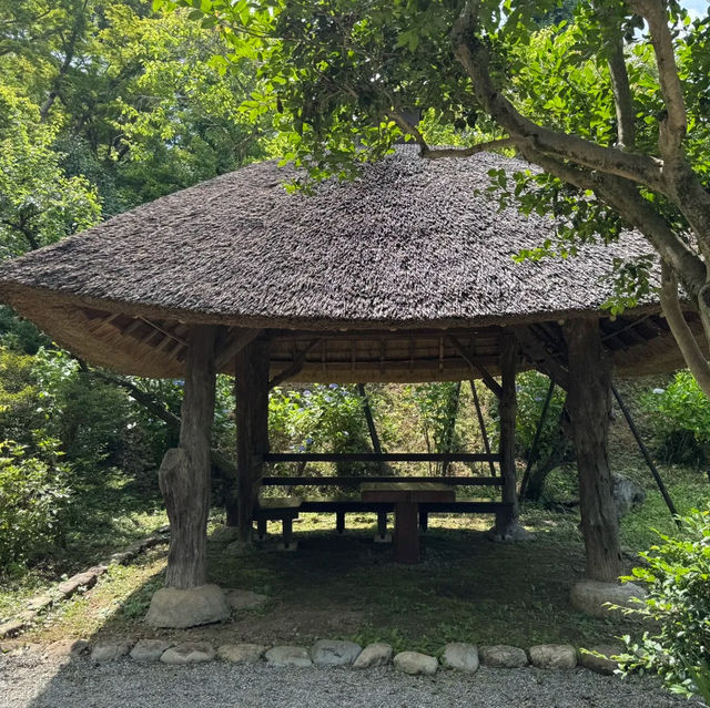 Tokyo｜Keio Mogusaen – Edo Garden Charm Through the Seasons 🌸🍁