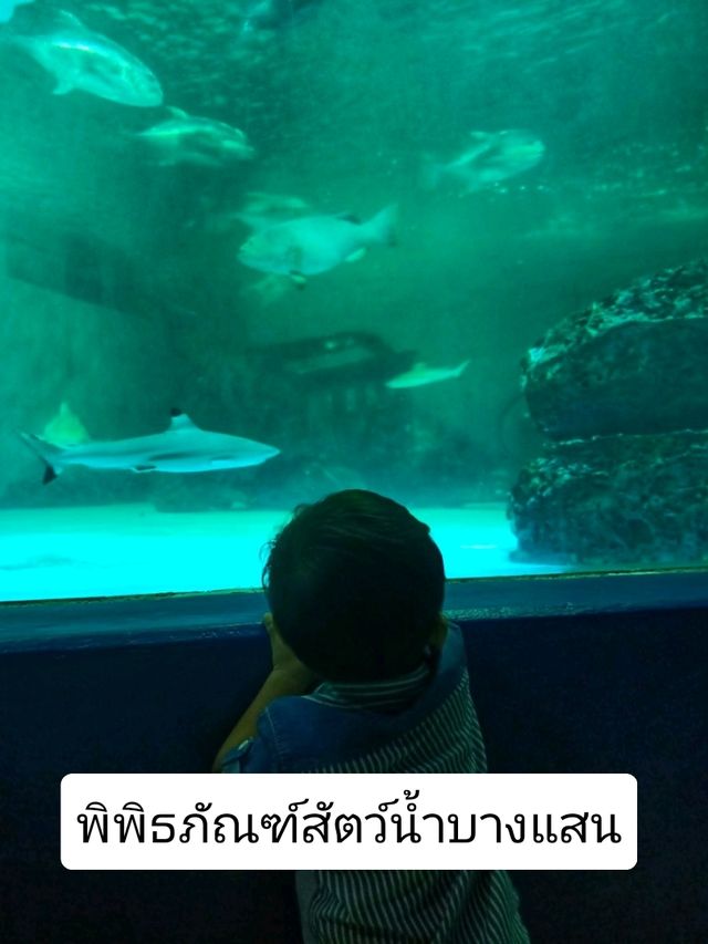 ทริปครอบครัว 3 วัน 2 คืน