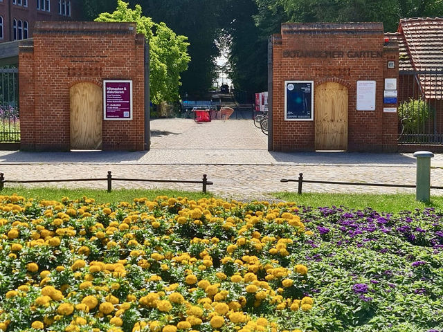 Berlin Unfolded: A Day of History and Edge