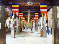 A Sacred Journey to the Temple of the Buddha’s Tooth
