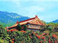  Ascend to Serenity at Tian Tan Buddha