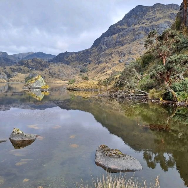 Exploring the Wild Beauty of El Cajas National Park
