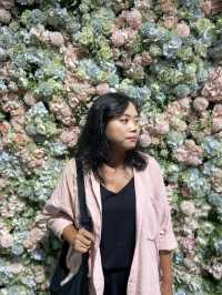 Treasure Hunting at Mumuso Braga