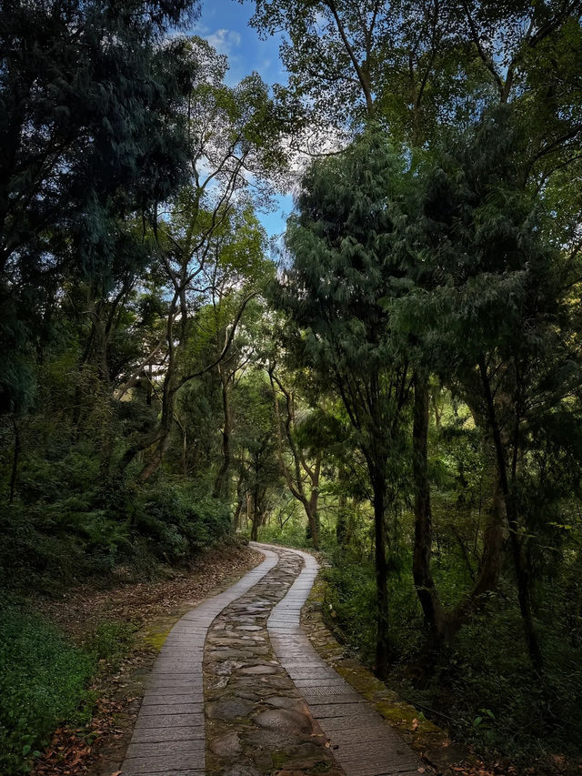 【雁蕩山｜雲煙深處的靈秀之境】