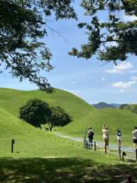 여름 경주 꼭 가야할 핫스팟 🌺🩷