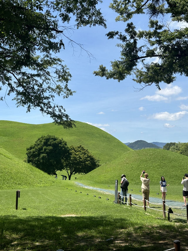 여름 경주 꼭 가야할 핫스팟 🌺🩷