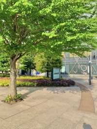 🎡🏰 도쿄 감성+테마파크 여행 ✨🌳