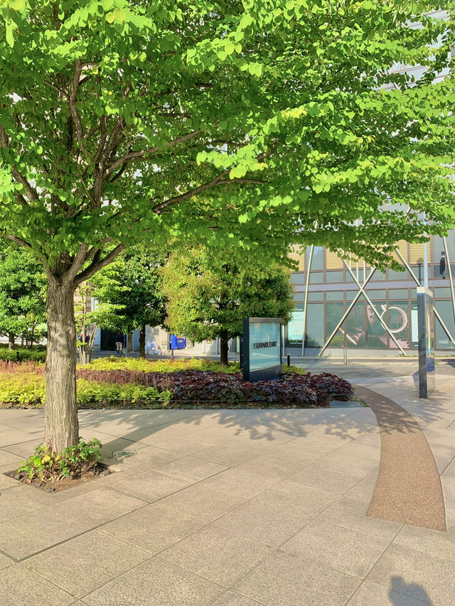 🎡🏰 도쿄 감성+테마파크 여행 ✨🌳