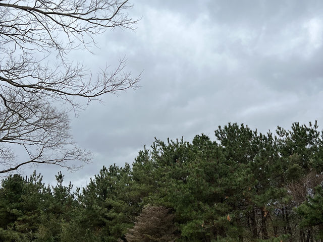 รีวิวเที่ยว "ซังกึมบูรี" (산굼부리) ที่เกาะเชจู รีวิวเที่ยว "ซังกึมบูรี" (산굼부리) ที่เกาะเชจู