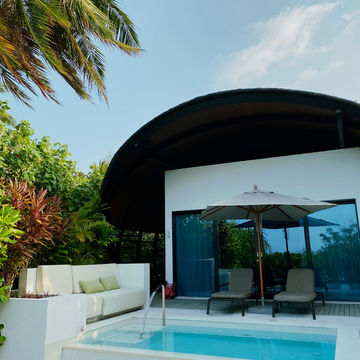 Wellness in the Wild Blue