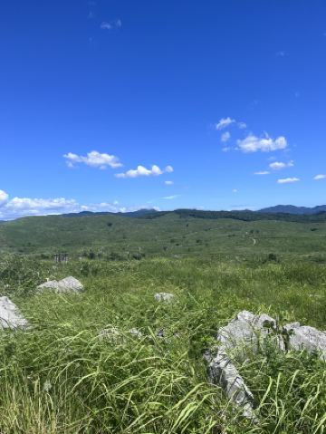 Relax in the summer nature 🌿 And look forward to the golden season of autumn