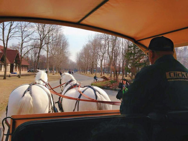 北海道馬主題公園親子半日遊推介 🐴