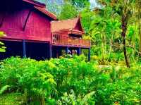 索巴植物園與泰屋博物館：走進自然與文化的綠色秘境