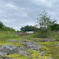 A Cultural and Natural Haven in Stockholm