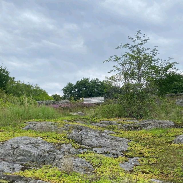 A Cultural and Natural Haven in Stockholm A Cultural and Natural Haven in Stockholm