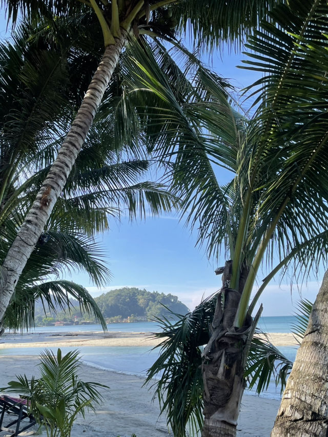 ดำน้ำตื้นเกาะช้าง ดำน้ำตื้นเกาะช้าง