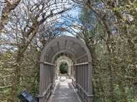 Hamilton Gardens