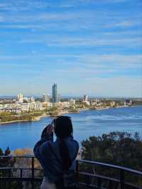 Sunset Vibes & City Views: Picnicking at Kings Park, Perth 🌅✨