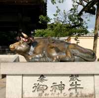 Dazaifu-tenmangu Shrineวัดดังฟุกุโอกะ