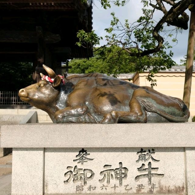 Dazaifu-tenmangu Shrineวัดดังฟุกุโอกะ