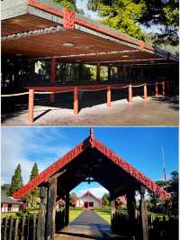 【新西蘭北島】蒂普亞毛利文化村（Te Puia）：深入毛利人文化之旅