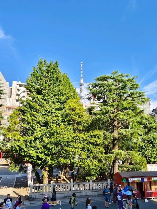 東京超人氣景點：淺草寺（雷門），邊拍照邊開心吃甜點