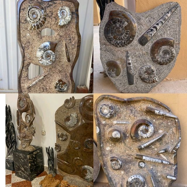 Morocco's Ammonite Crafts Treasures! 🐚 Morocco's Ammonite Crafts Treasures! 🐚