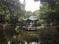 Kowloon Park -HK
