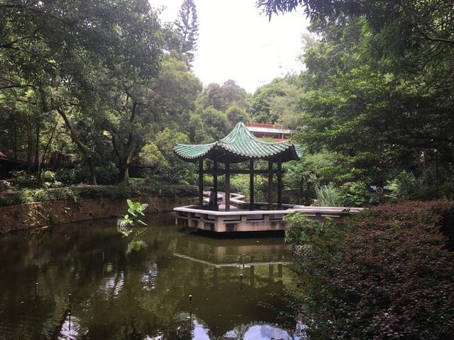 Kowloon Park -HK