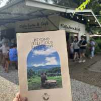 🇹🇭不騎大象也能裝可愛「Elefin Farm & Cafe」