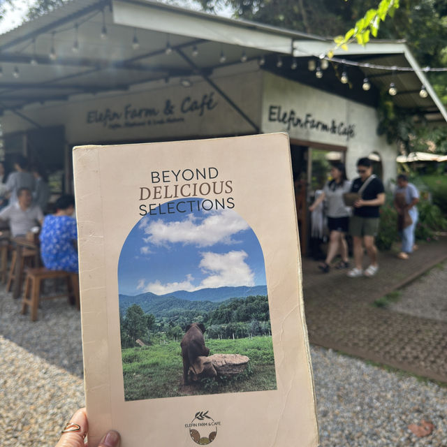 🇹🇭不騎大象也能裝可愛「Elefin Farm & Cafe」