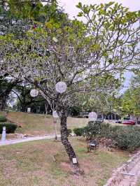 Taman Putra Perdana: Perfect Park for Relaxation, Exercise, and Instagram-Worthy Moments 