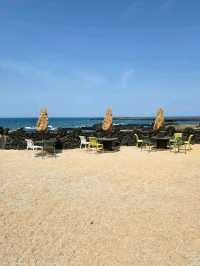 🪞🌊제주도 모알보알 구좌 오션뷰 카페 추천