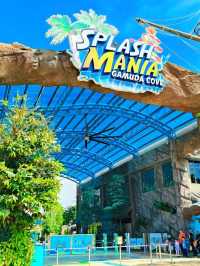 Discover SplashMania Vibes🦁Sunny Water Park