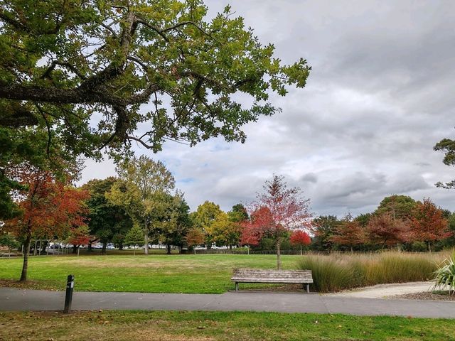Kuirau Park, Rotorua: A Free Geothermal Wonder