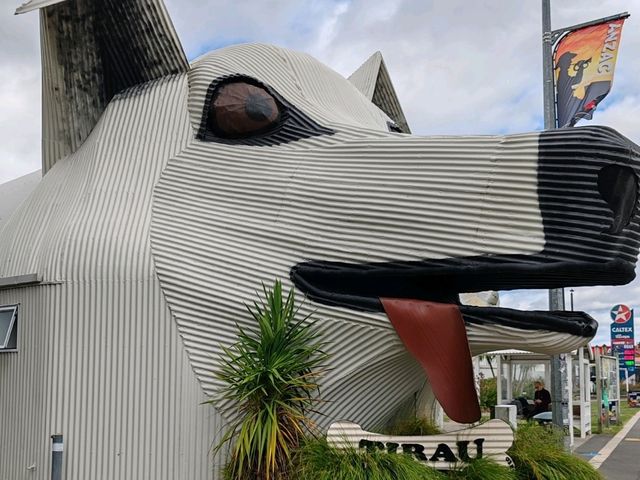 Tīrau: New Zealand's Quirky Corrugated Iron Town
