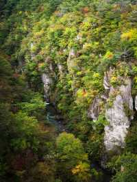 🌾 หุบเขานารุโกะ (Naruko Gorge, 鳴子峡)