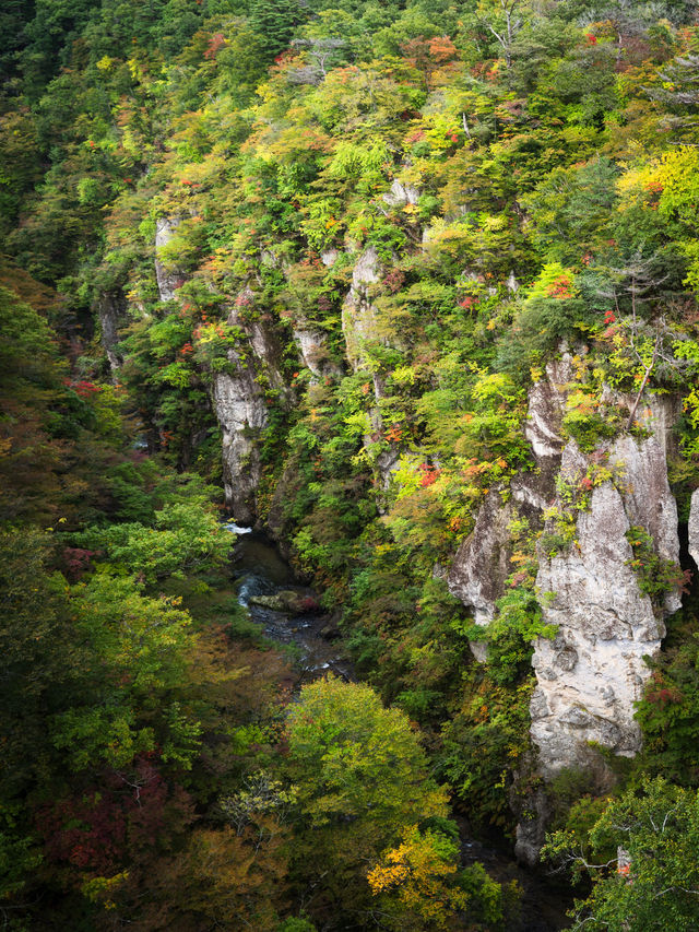 🌾 หุบเขานารุโกะ (Naruko Gorge, 鳴子峡)