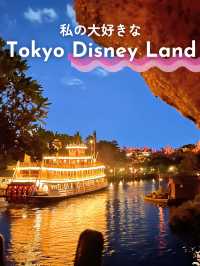 【 私の大好きなディズニーランド🎄 】