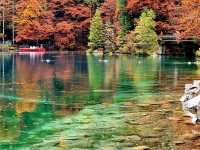 tranquil atmosphere