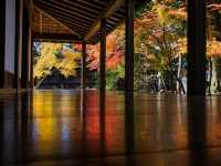 冬だけじゃない！秋の新潟もオススメ🎃🍁🍄