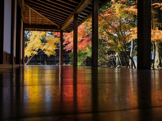 冬だけじゃない！秋の新潟もオススメ🎃🍁🍄
