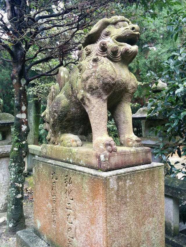 🌸🏯 Whispering Walls of Akizuki Castle Ruins 🍂🌿