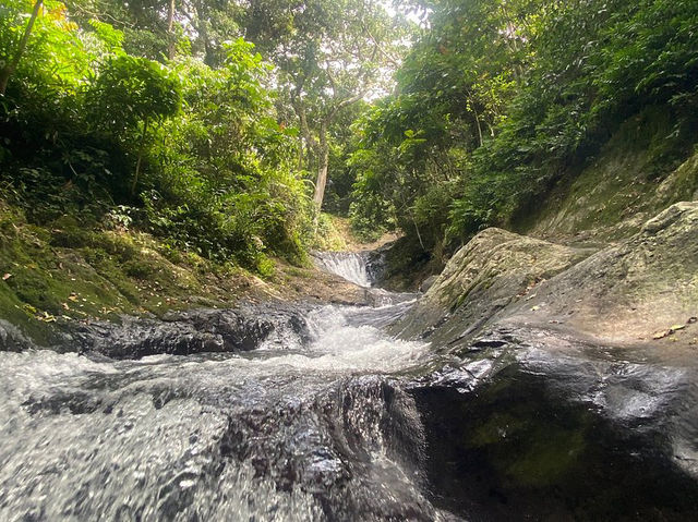 Waitavala Natural Rock Waterslide