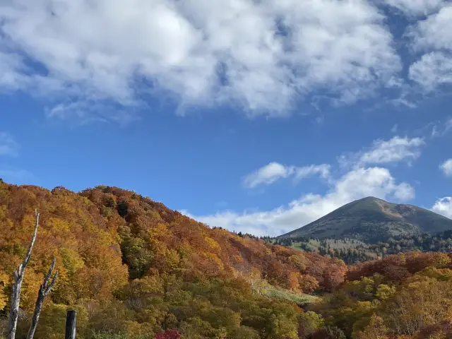 染紅的道路，行走於八甲田